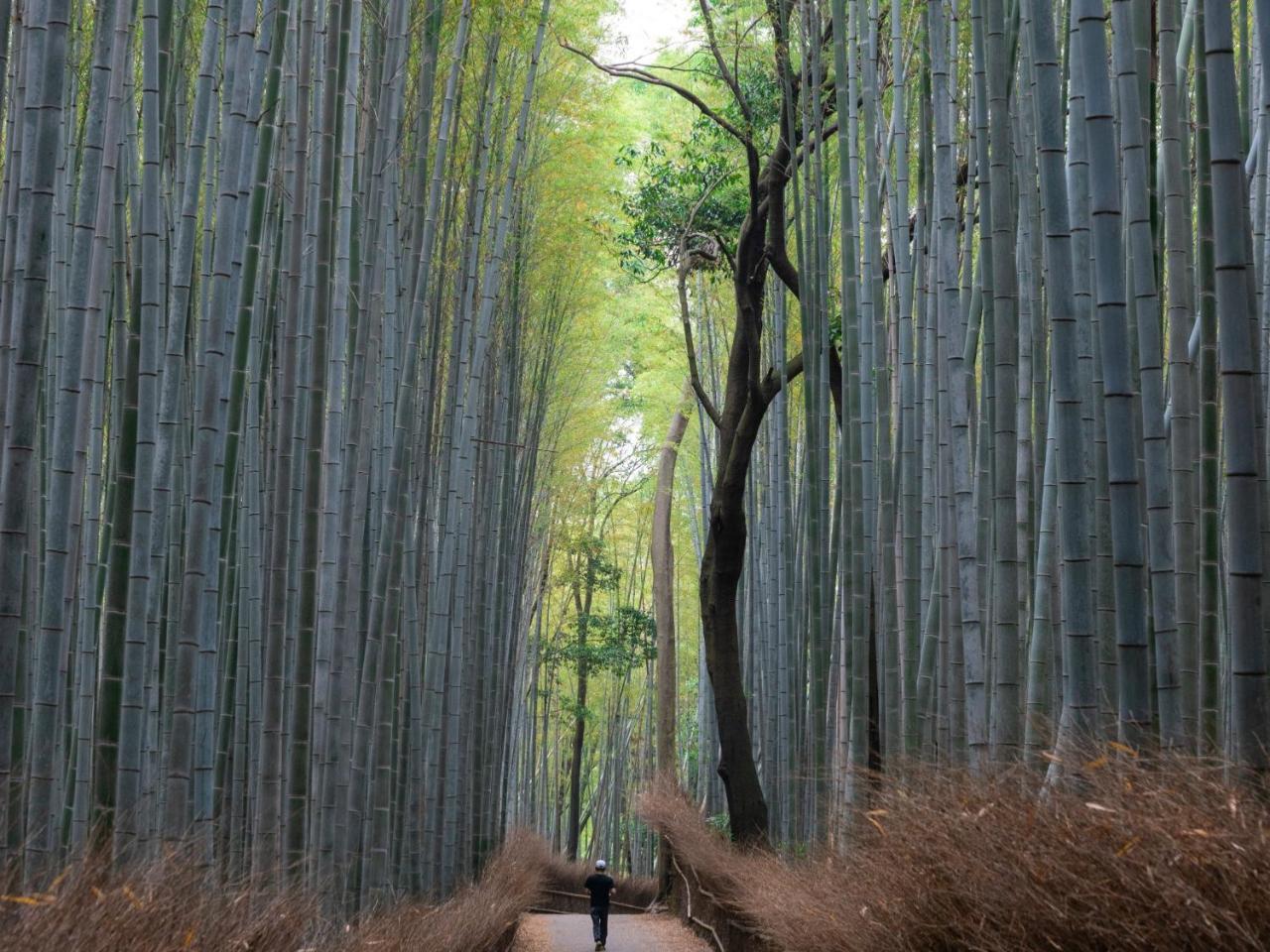 Stay Marutamachi Kyoto Dış mekan fotoğraf