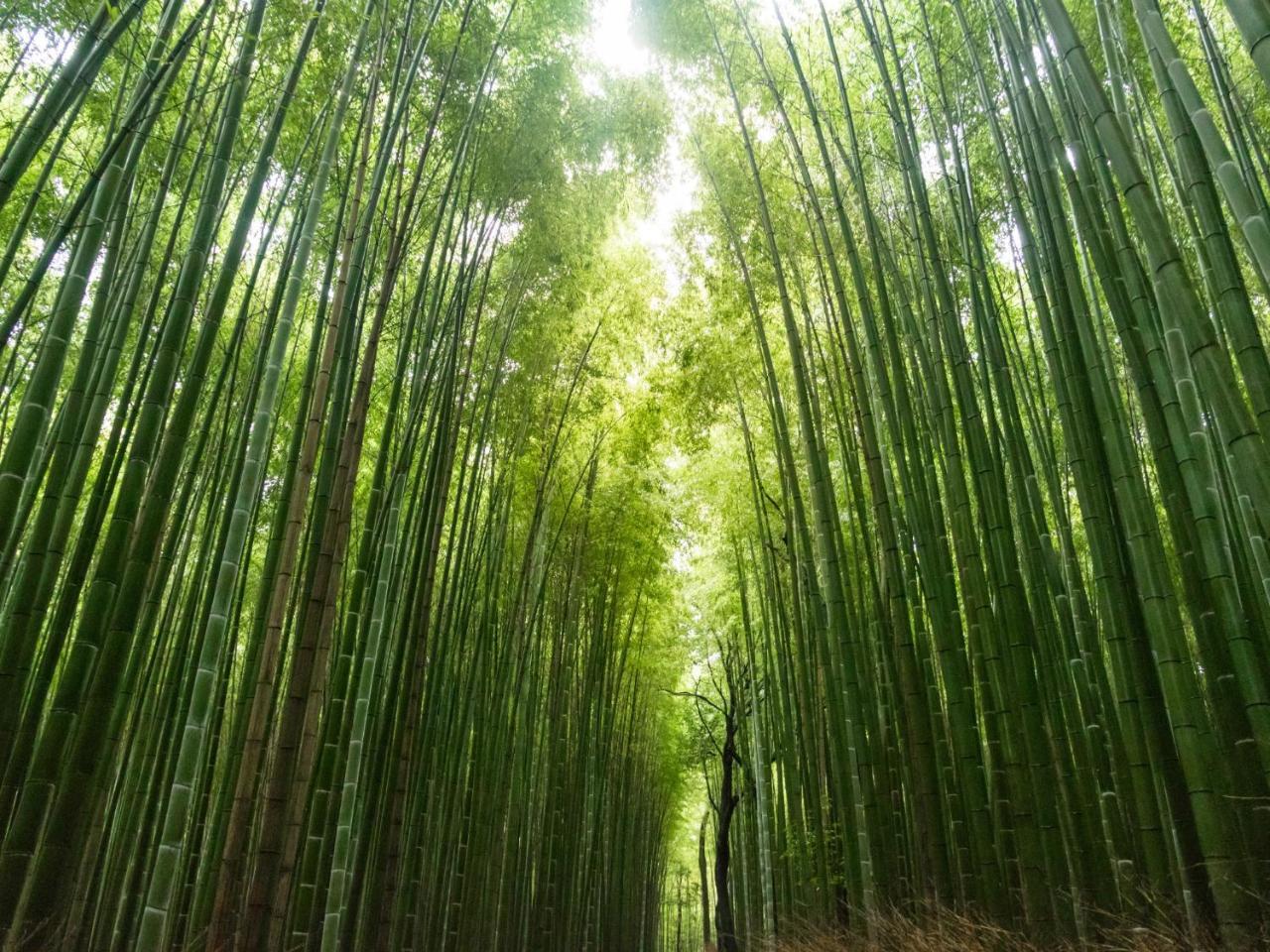 Stay Marutamachi Kyoto Dış mekan fotoğraf